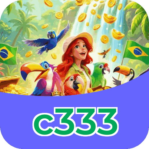 Interface c333